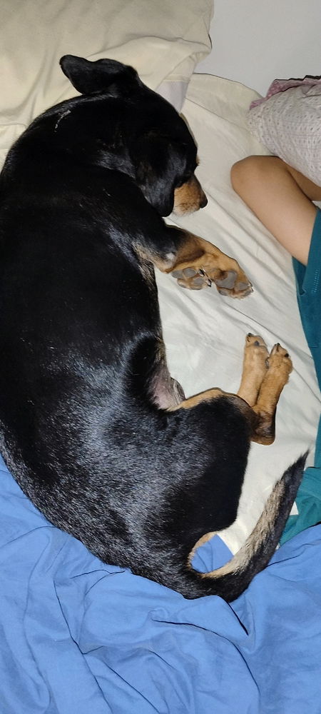 Cadê o bendito sono q não vem?