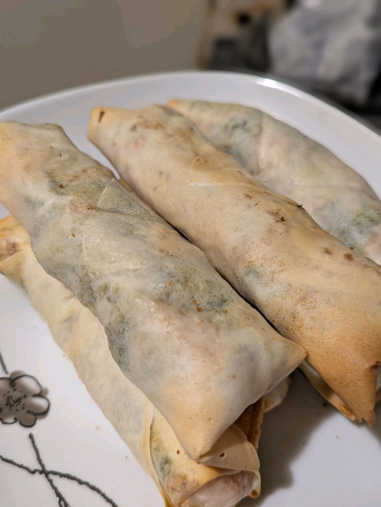 Homemade Spring Rolls