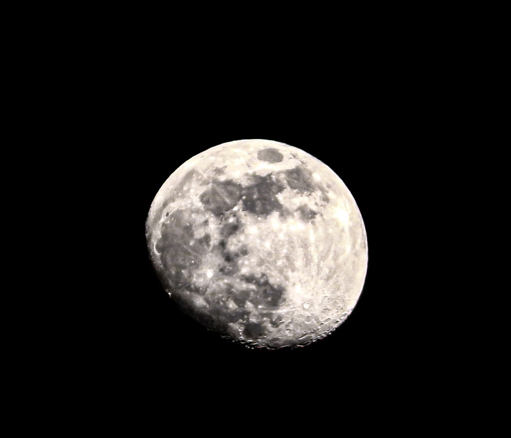 Moon🌕💫