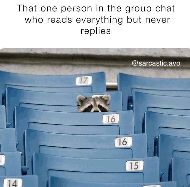 🫥🦝