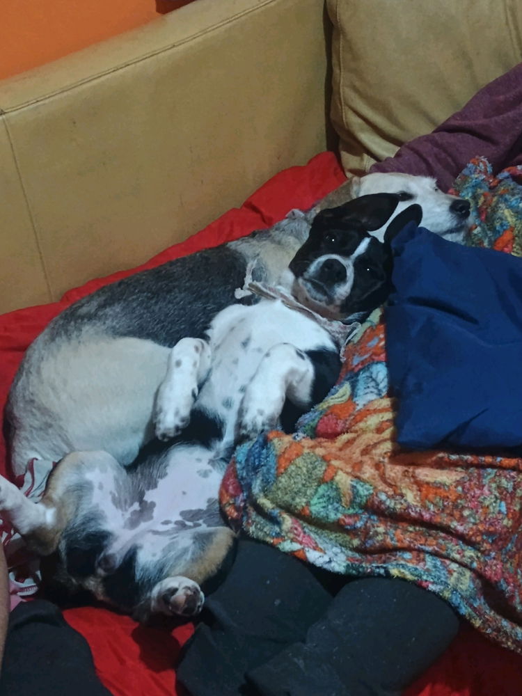 Neném