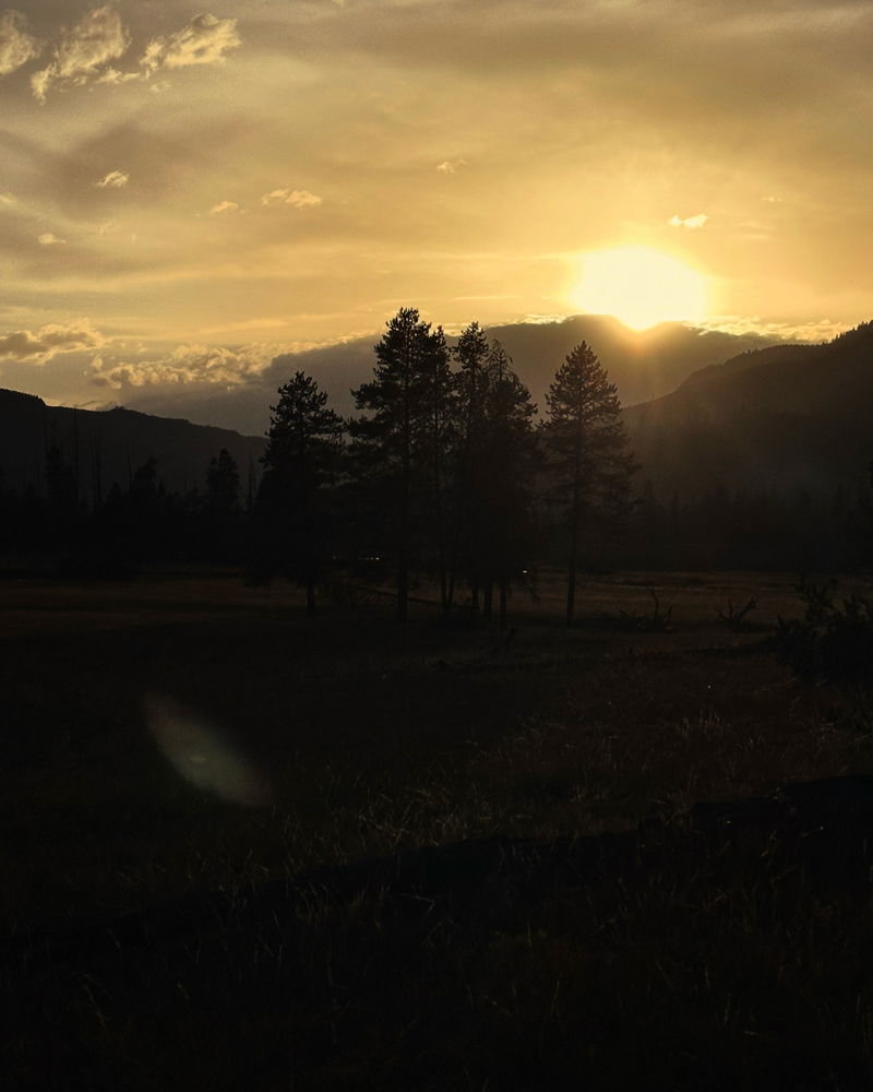 Working on a trip to go back to Yellowstone soon! Getting excited.