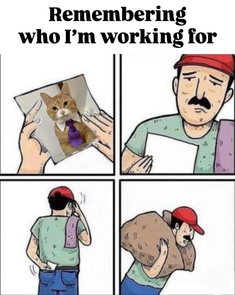 💯