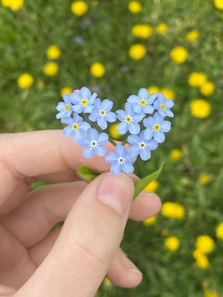 Give me to your heart