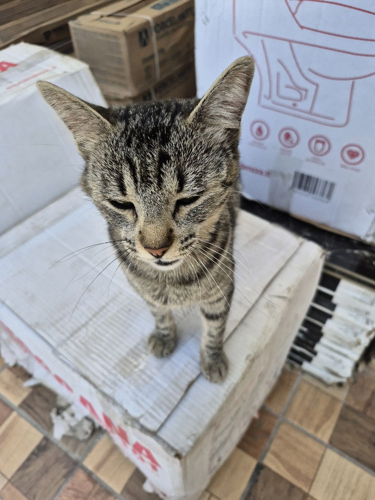 Trabajador
