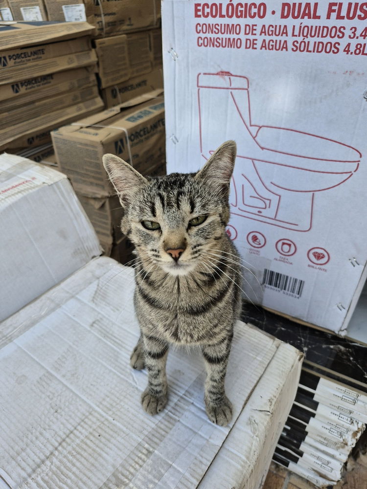 Trabajador