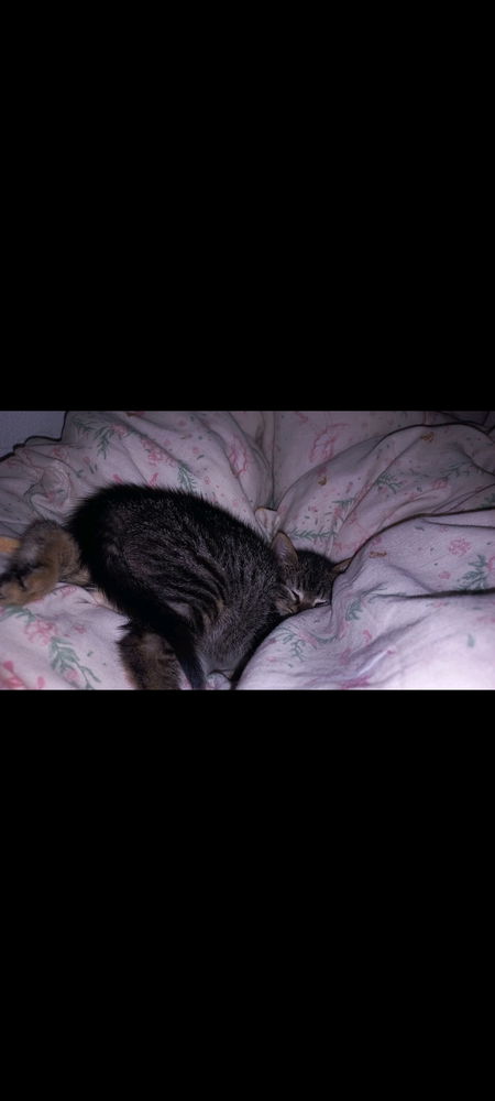 Hora de dormir mamá
