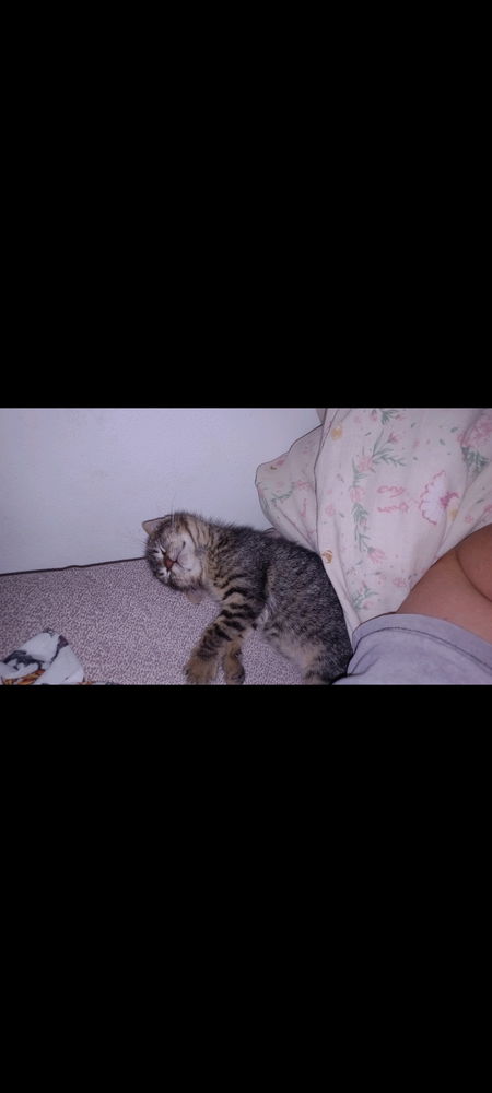 Hora de dormir mamá