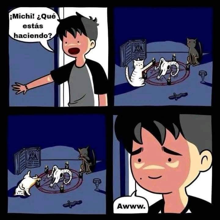 Well done kitties