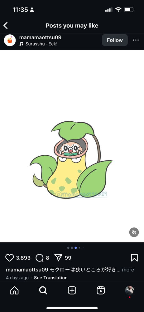 Rowlet ❤️