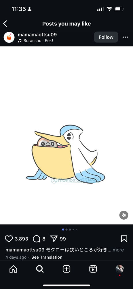 Rowlet ❤️