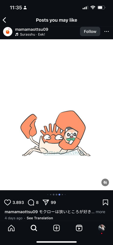 Rowlet ❤️
