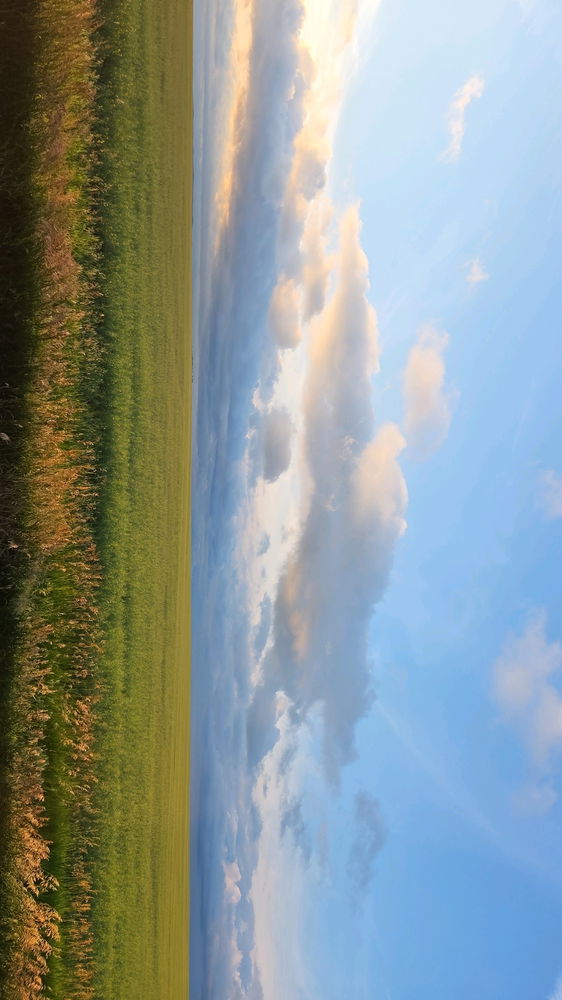 MT skies