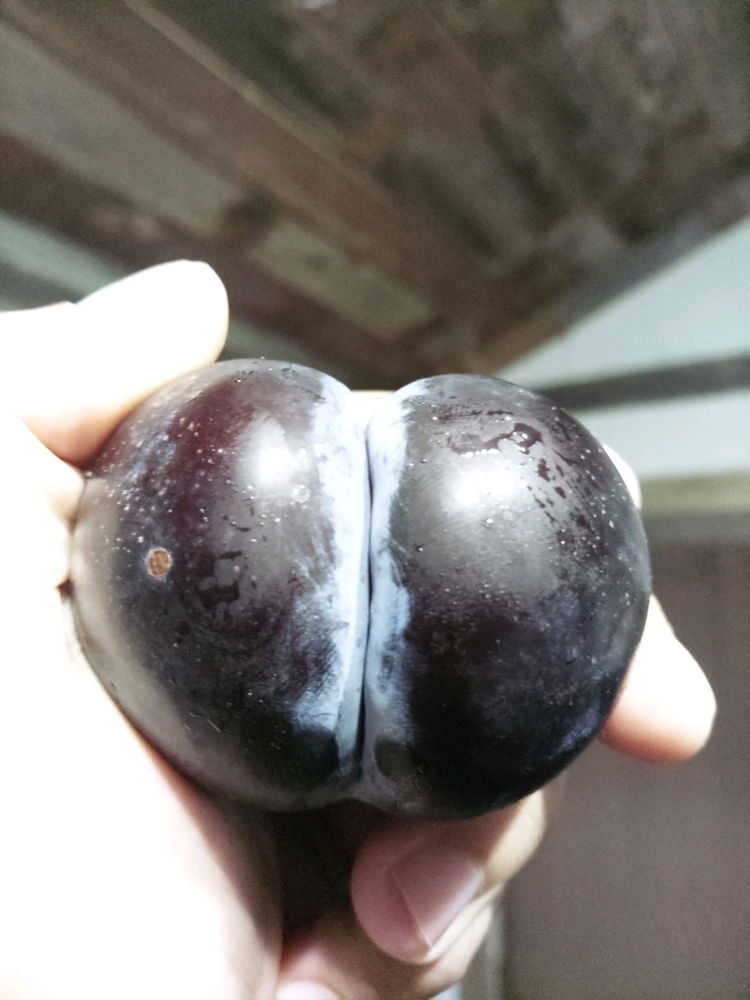 Dirty Fruit