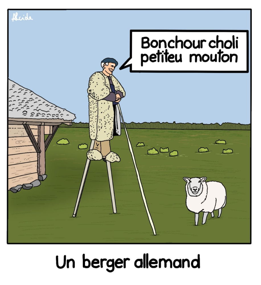 Bonchour bonchour à tous 🥸🐑