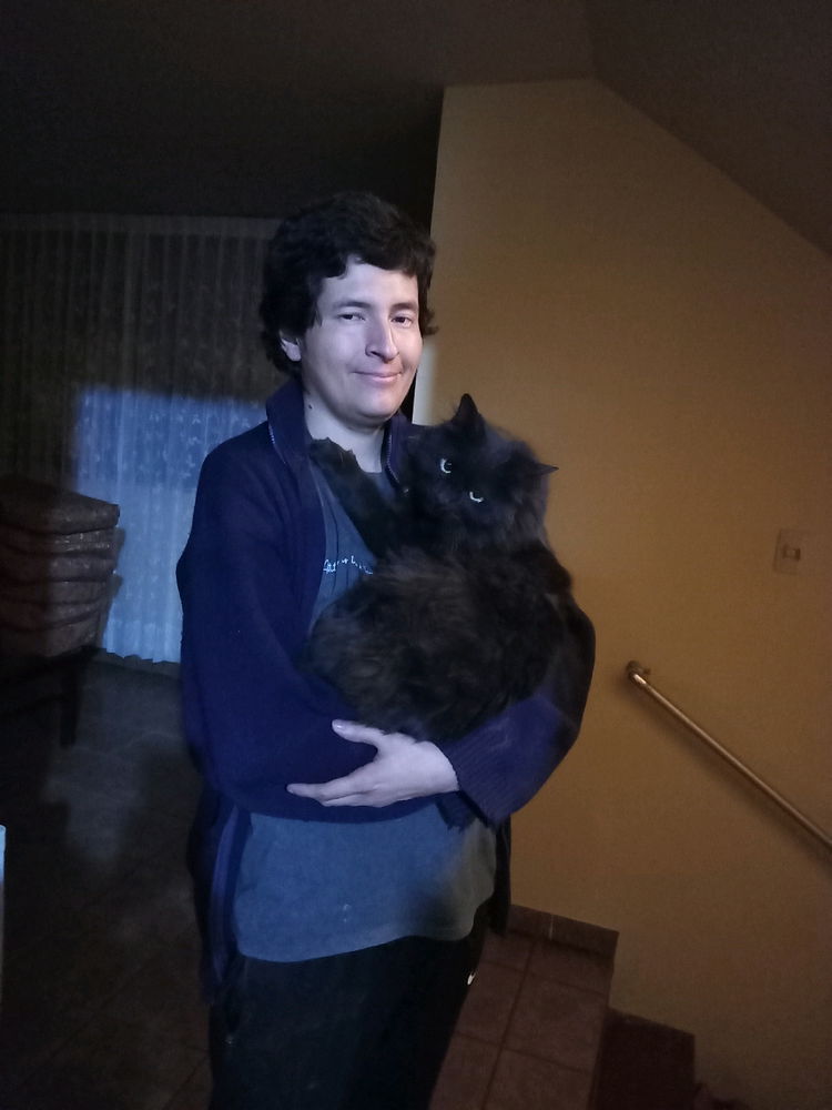 La cara de mi gato después de desaparecer por meses