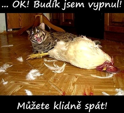 Budík nepřežil ⏰