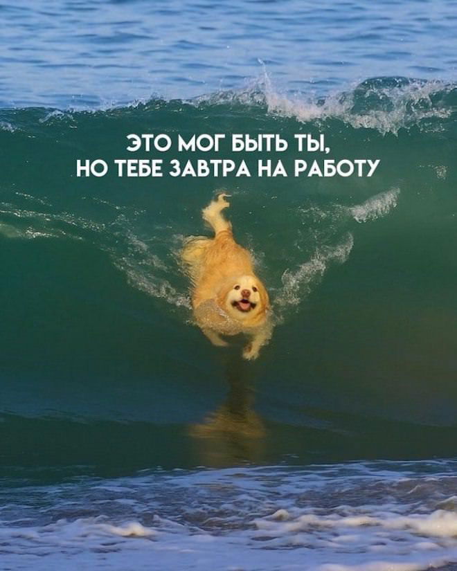 😜