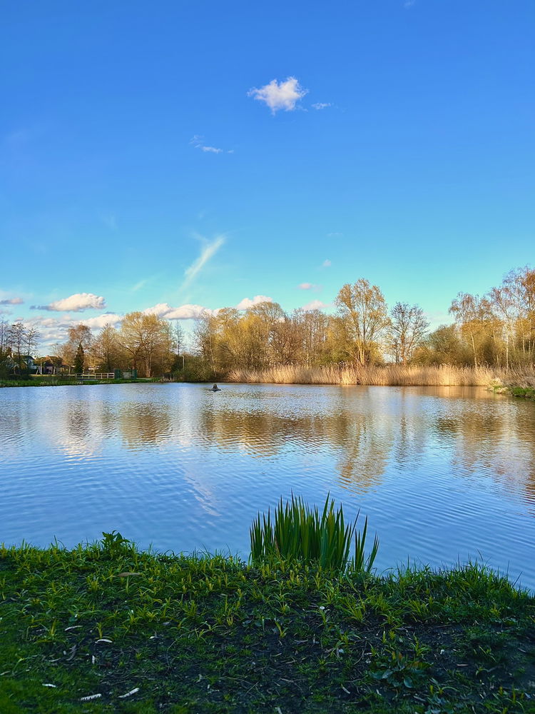 The beauty of nature