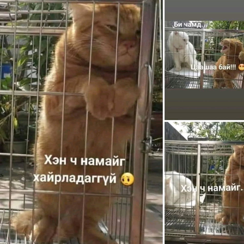 Seems like me🤭