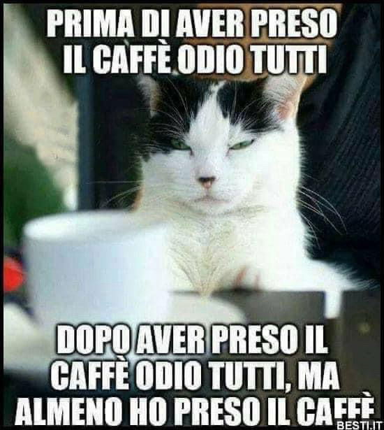 ☕️😏