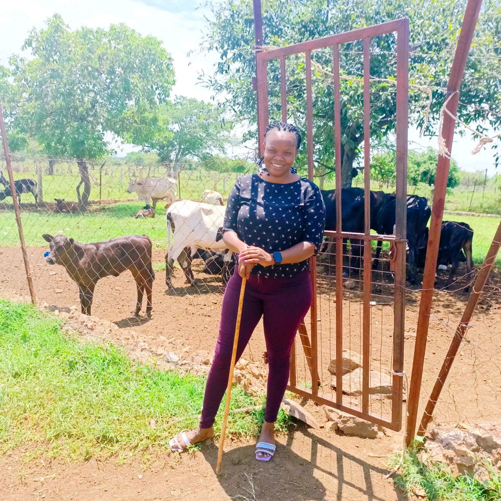 Cattle Keeper