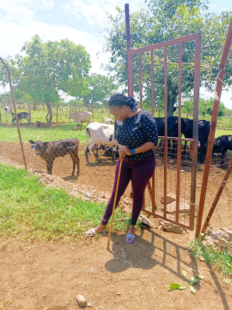 Cattle Keeper