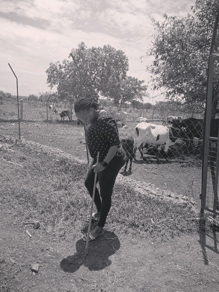 Cattle Keeper