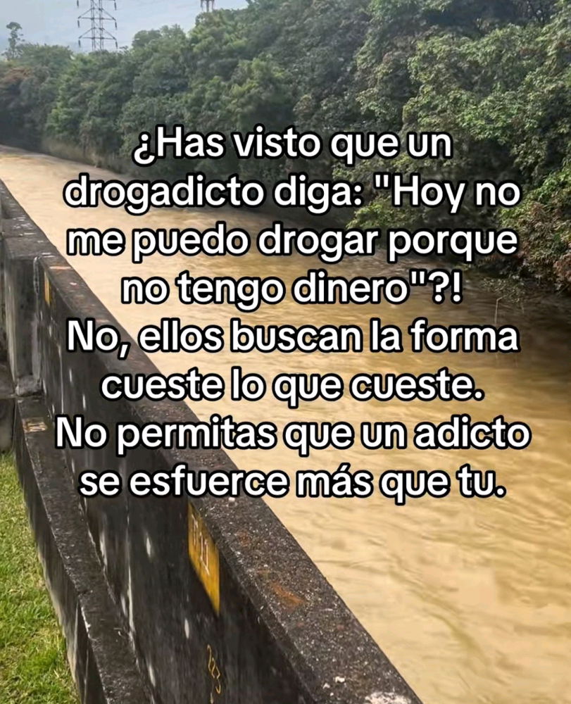 Desde el despertar de conciencia