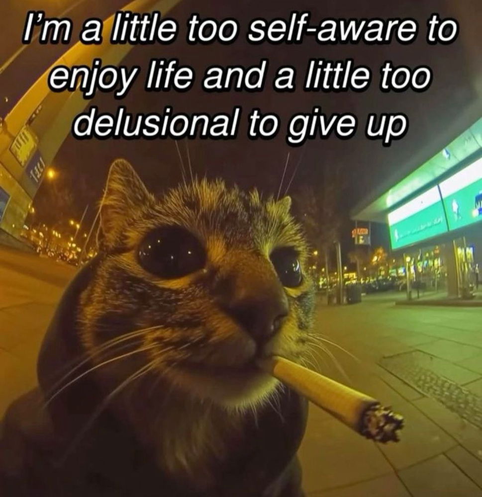 🌚