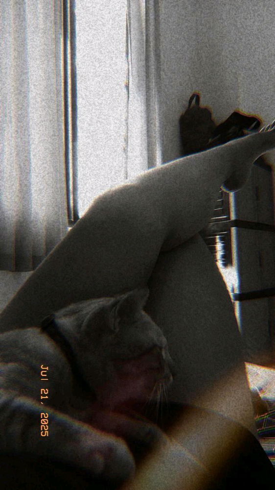 lazy day on monday