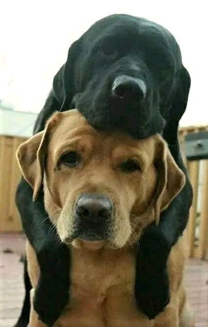 🤣🤣🤣🤣🤣💓💓💓💓😘😘😘😘👉🔝👈💋💋💋💋