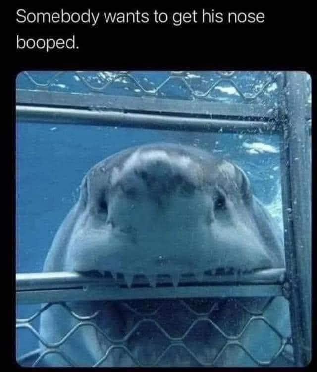 boop
