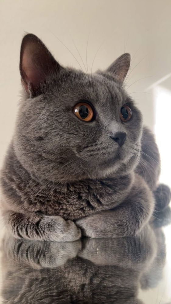 😇