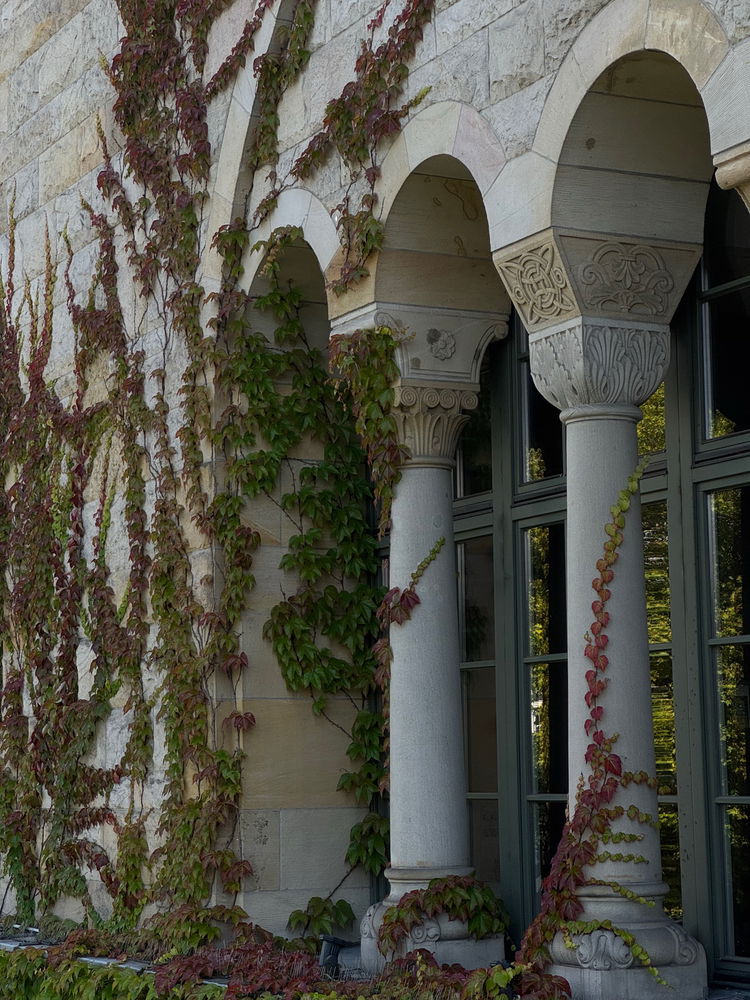 in love with columns