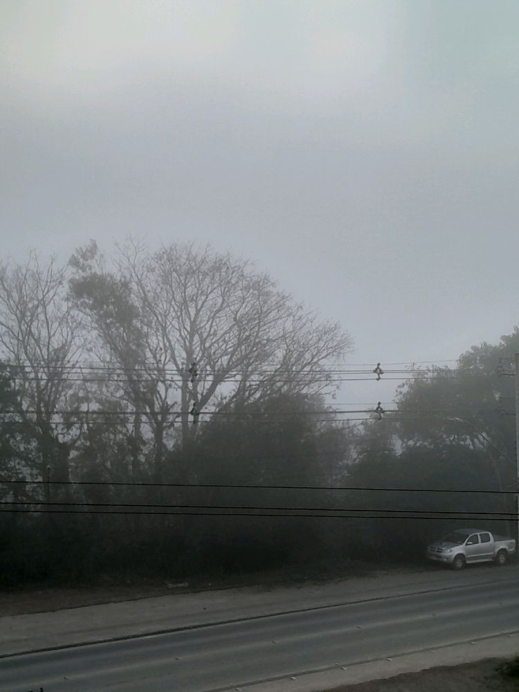 The fog hid the hills this morning