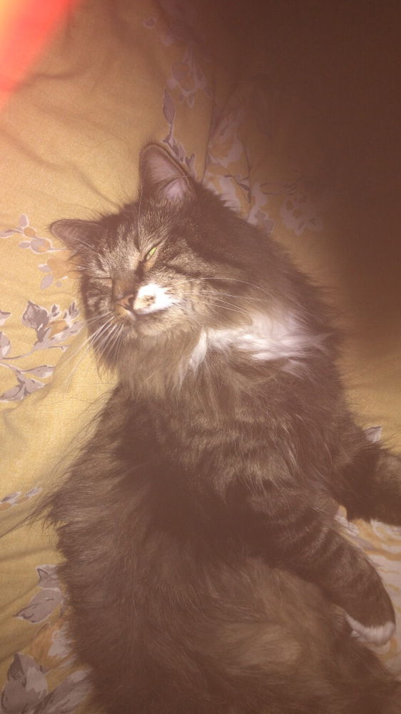 Chillin’