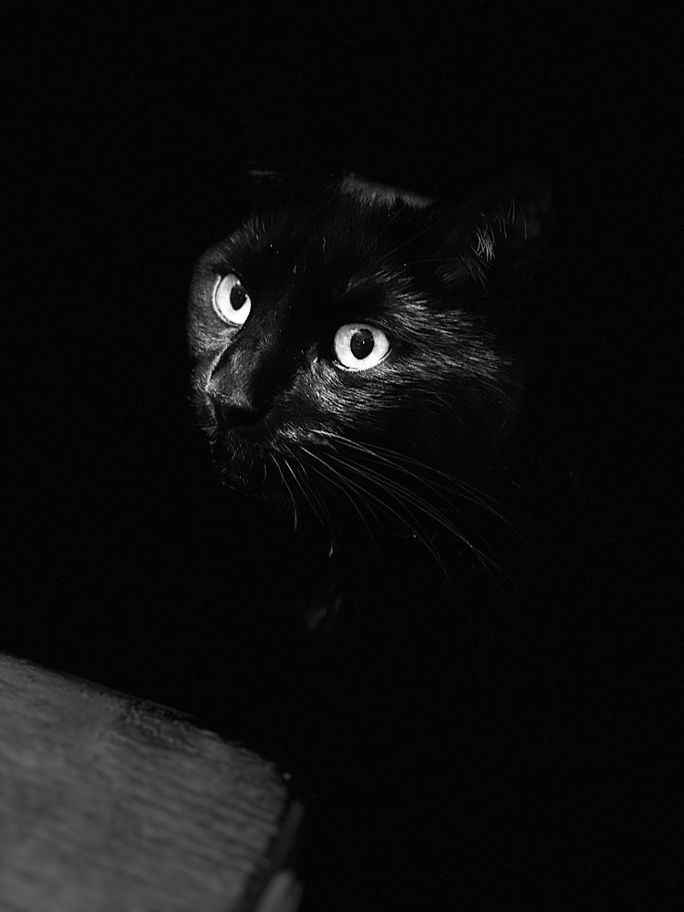 Peaking out of the void…