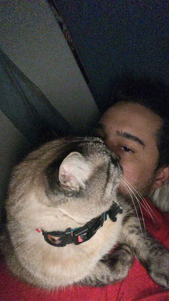Que frio é esse 🥶