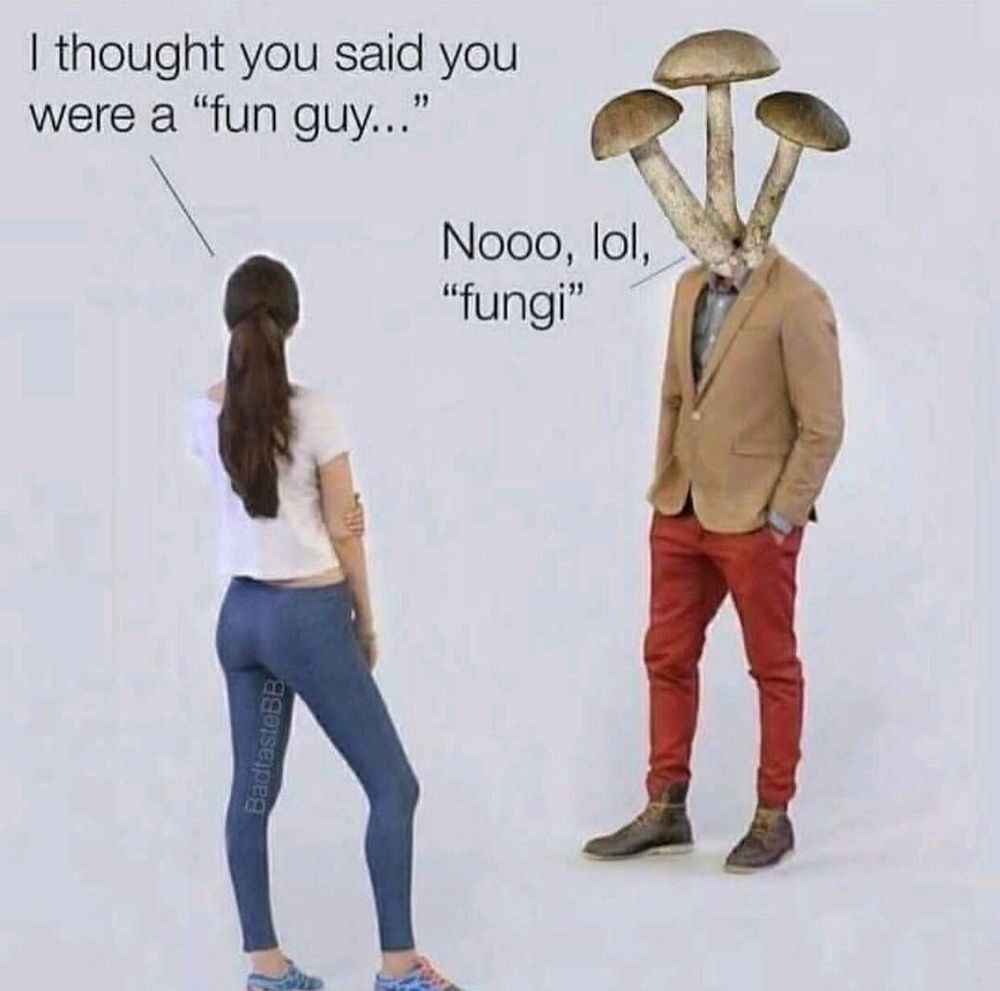 🍄🍄🍄