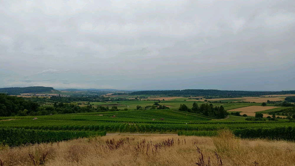 Landschaft genießen
