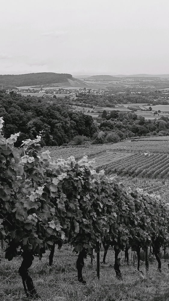 Landschaft genießen