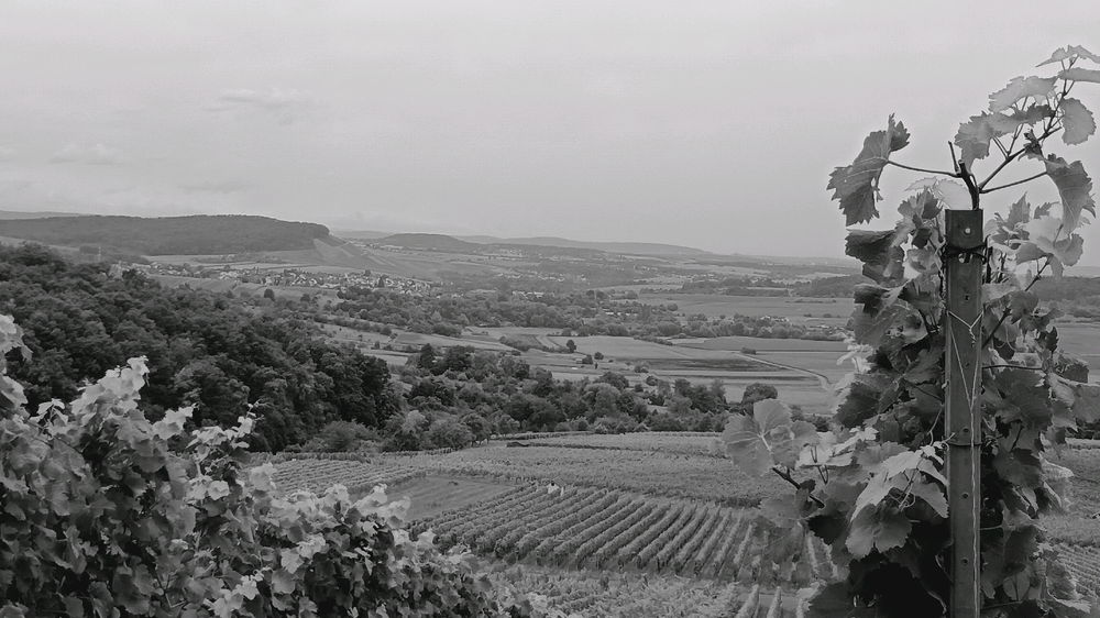 Landschaft genießen