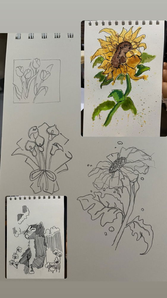 Den tips para mejorar en dibujo y acuarelas