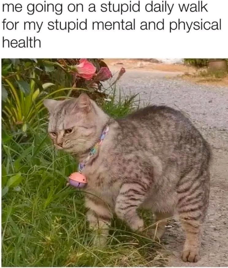 Hahahappy Monday!
