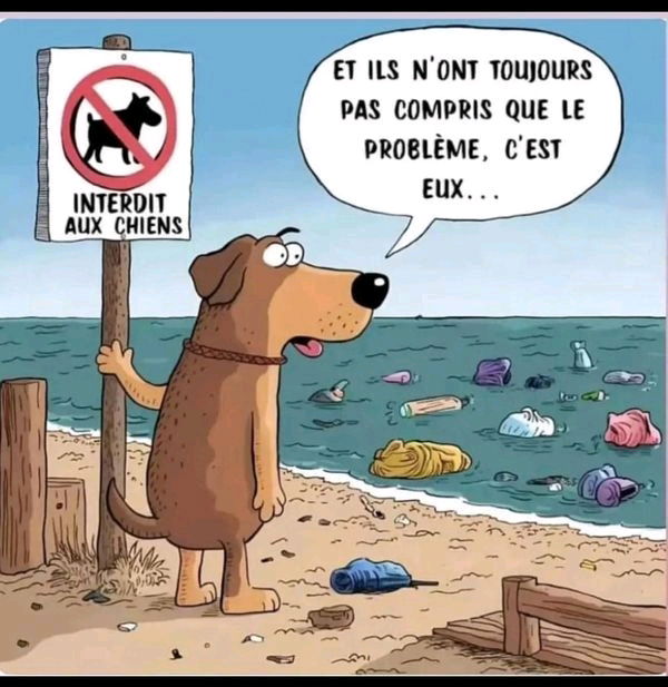 Triste réalité N°2
