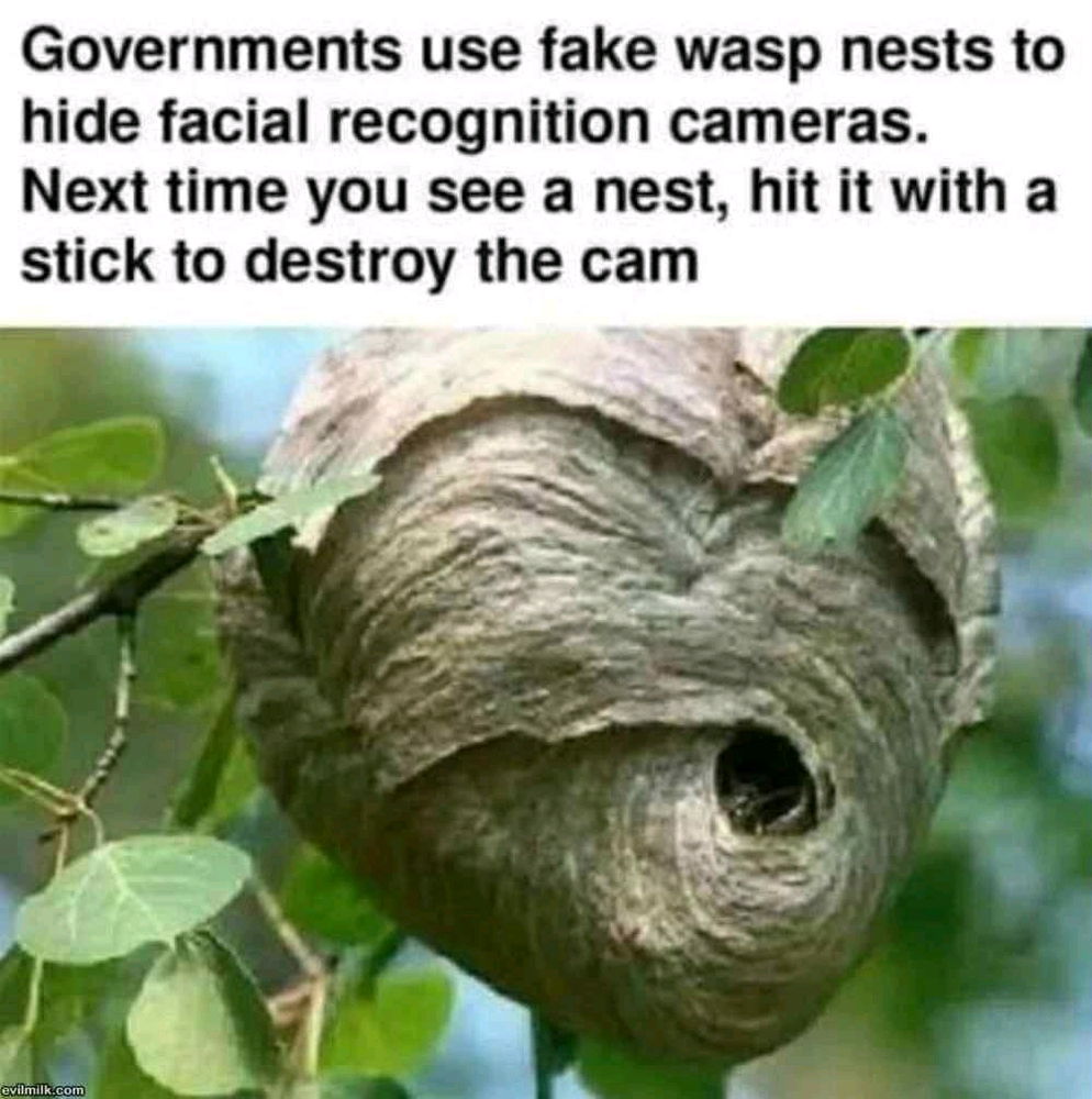 Its a sting operation 🐝