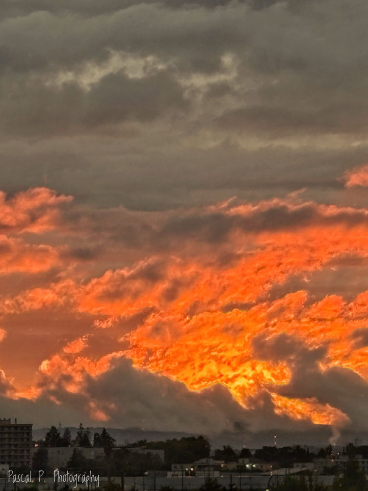 Dragon Lyonnais