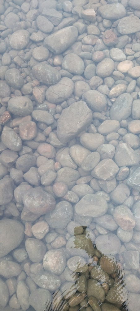 A stream