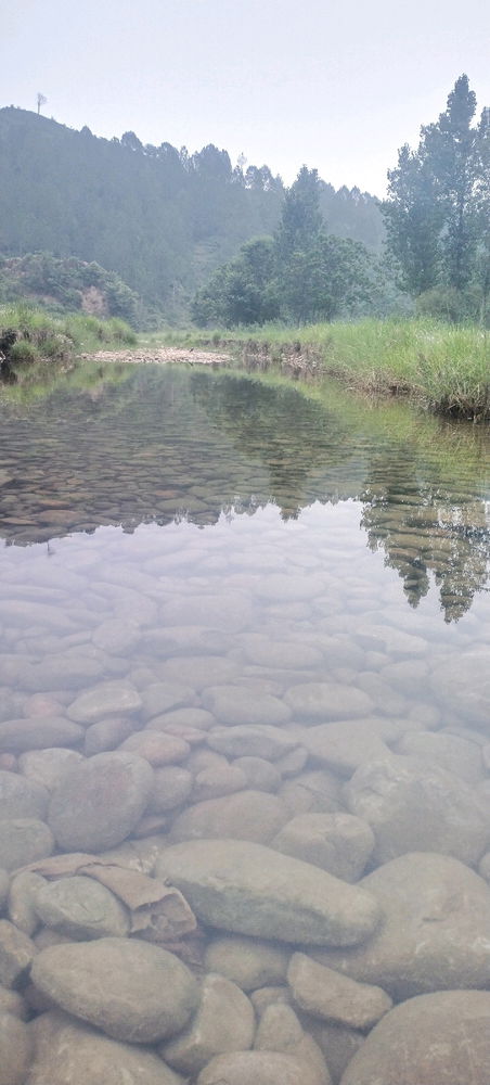A stream